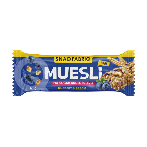 Snaq Fabriq Muesli 40 grams (Черника)